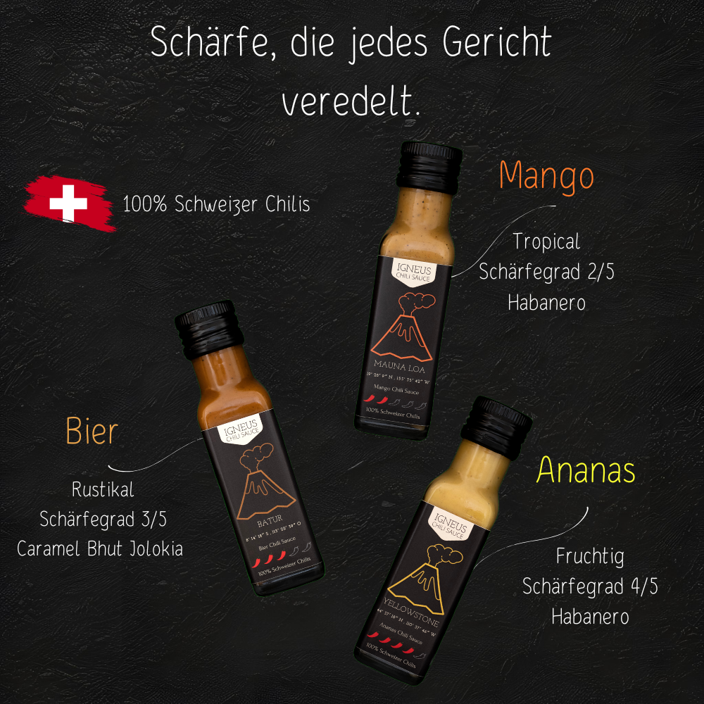 Sommer Bestseller Set
